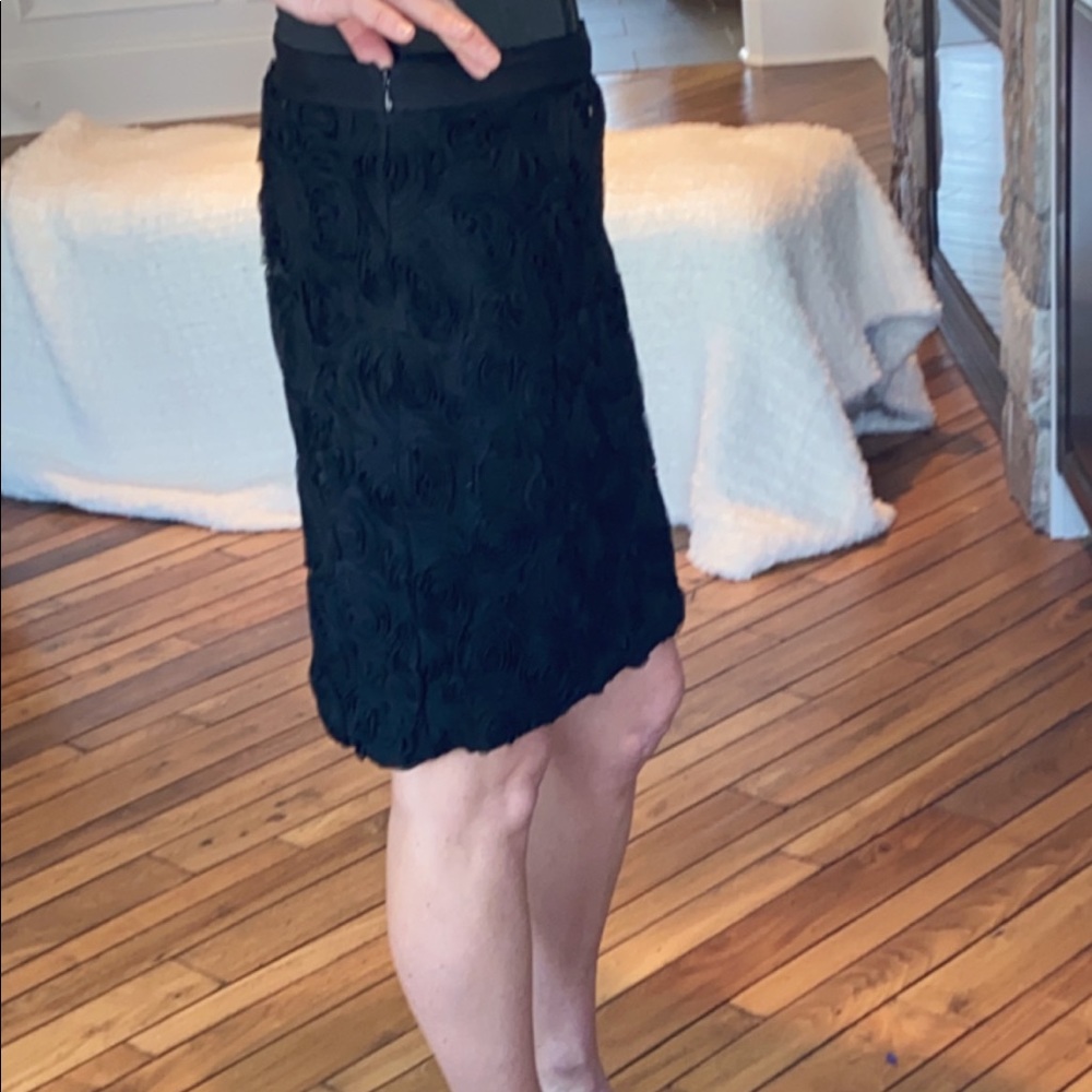 Banana Republic Skirt